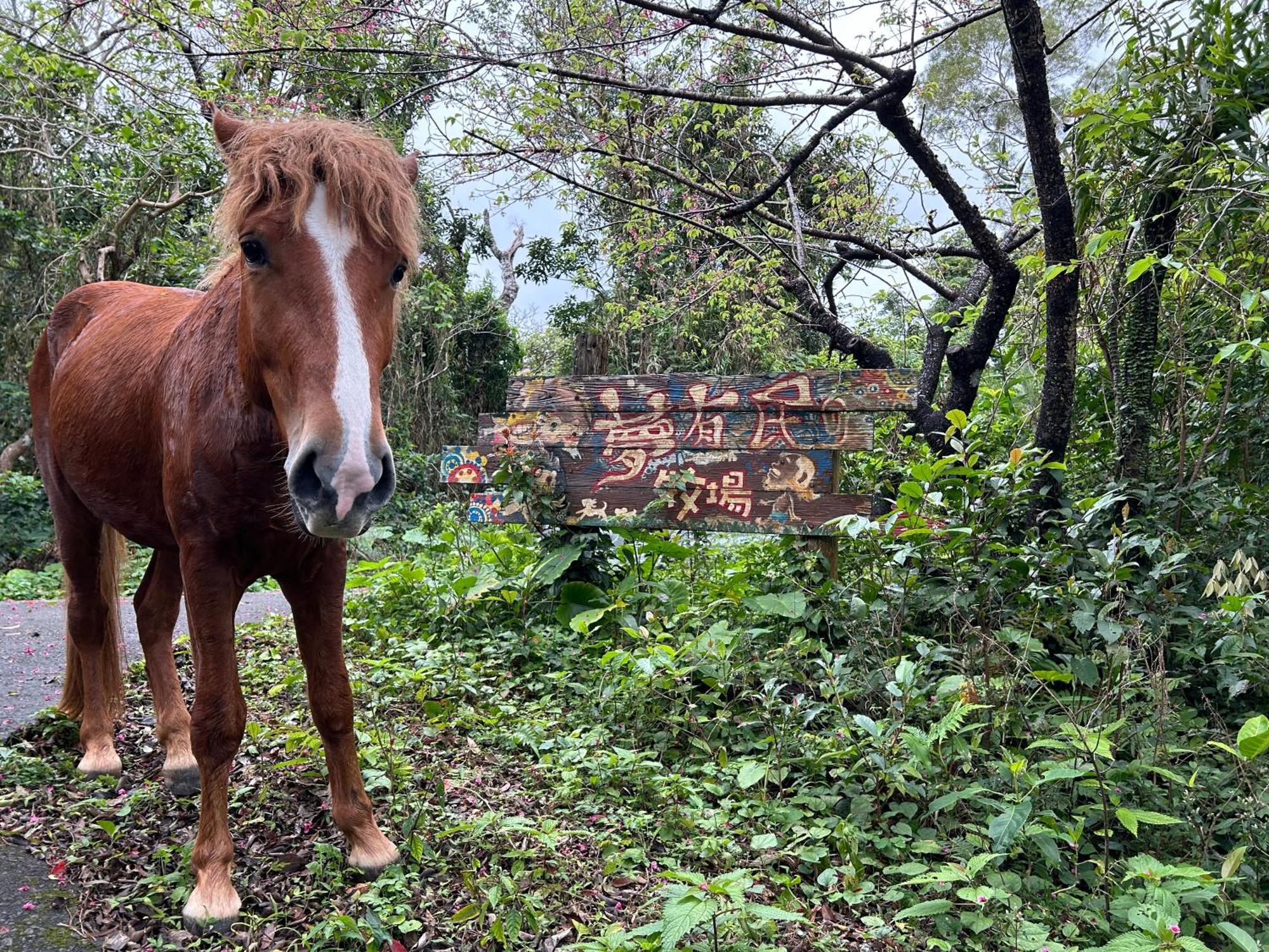 Вилла Muumin Farm Накидзин Экстерьер фото